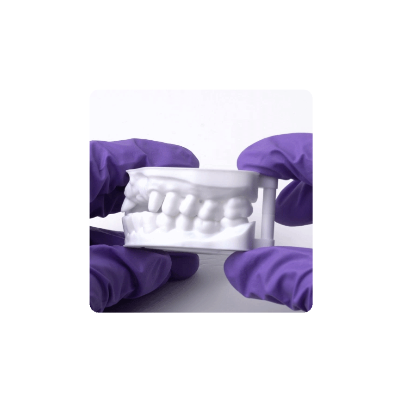 Phrozen Dental Study Model Resin